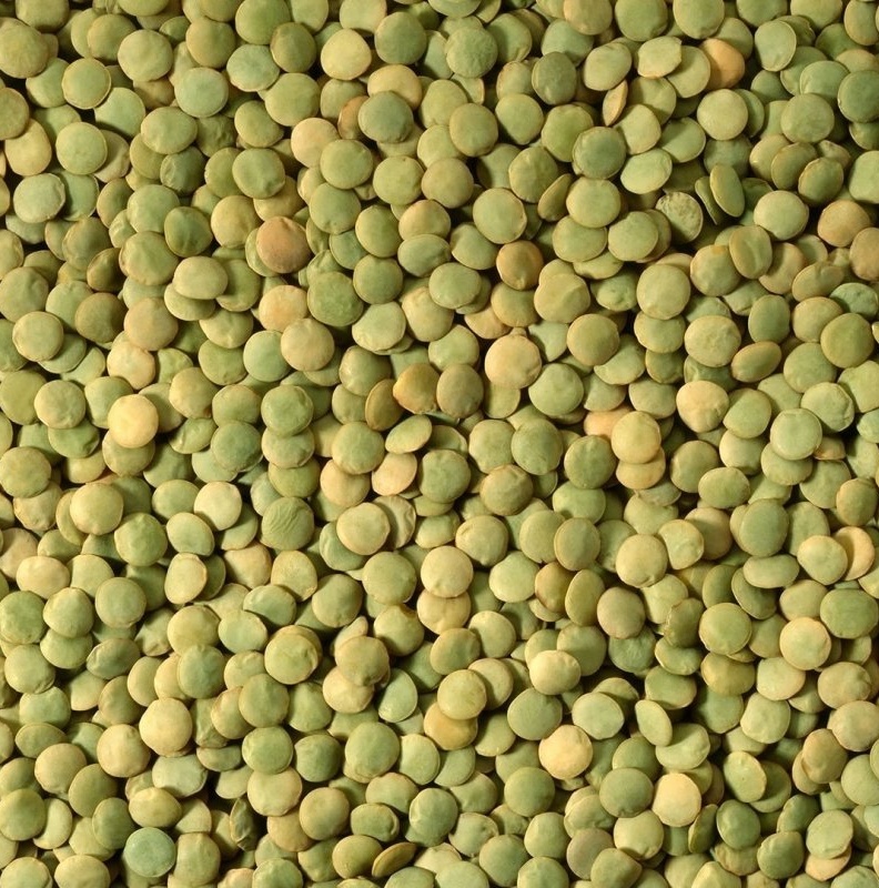 Green Lentils