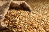 A Key Player in the Global Grain Market: The Role of Grain Bulker Company in Barley Import